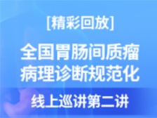 全国胃肠间质瘤病理诊断规范化线上巡讲第二讲